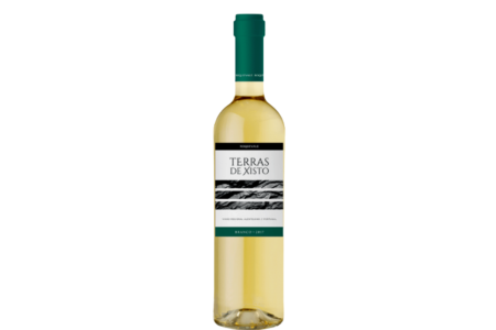 Vinho Portugues Terras de Xisto Branco 750ml
